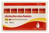 GUTTA PERCHA 25/04