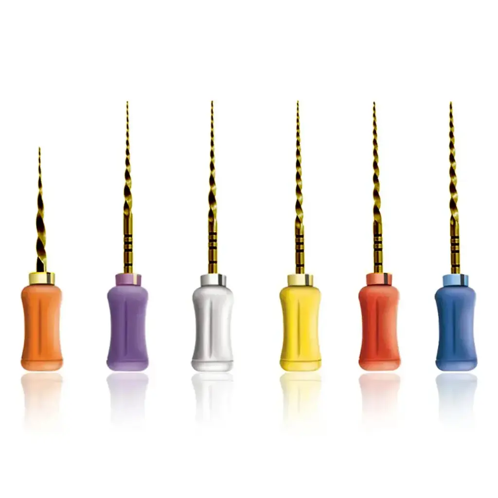 Hand Protaper Assorted
